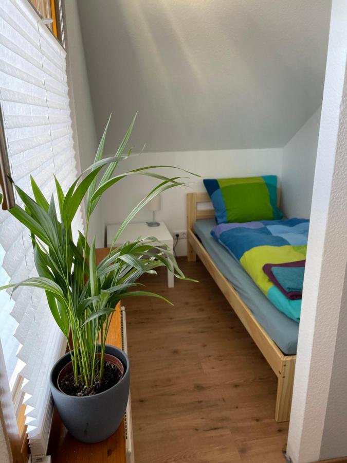 Ferienwohnung An Der Romantischen Strasse Direkt A3 Und A81 Eisingen  Eksteriør billede